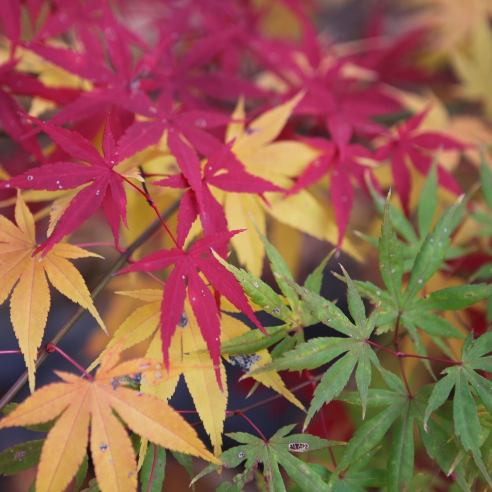 Meet your Posher, Jenn